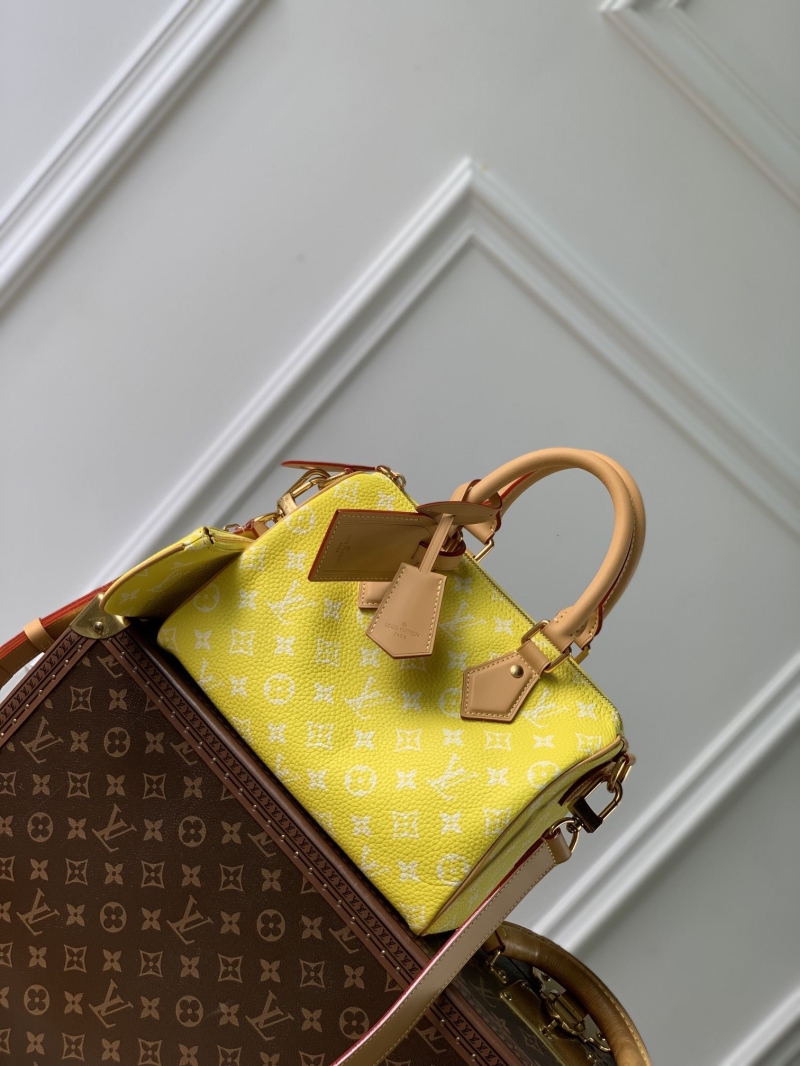 LV Travel Bags
